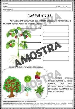 atividades-2-ano-page (86)