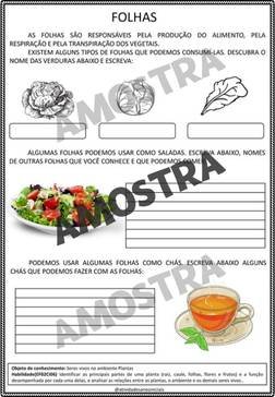 atividades-2-ano-page (87)