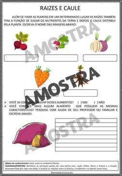 atividades-2-ano-page (89)