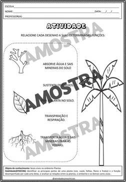 atividades-2-ano-page (90)