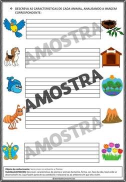 atividades-2-ano-page (92)