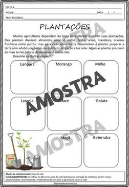 atividades-3-ano-page (158)