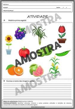 atividades-3-ano-page (196)