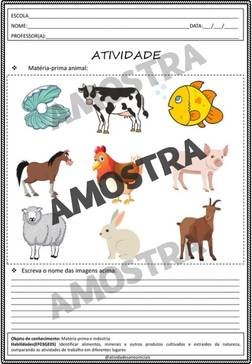 atividades-3-ano-page (197)