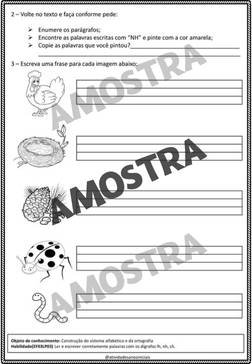 atividades-3-ano-page (93)