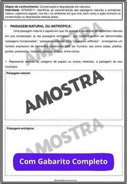 atividades-4-ano-page (117)