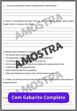 atividades-4-ano-page (121)