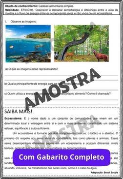 atividades-4-ano-page (125)