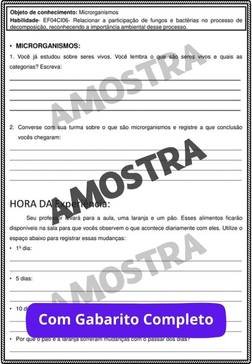 atividades-4-ano-page (127)