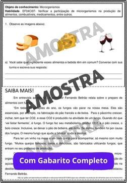 atividades-4-ano-page (128)